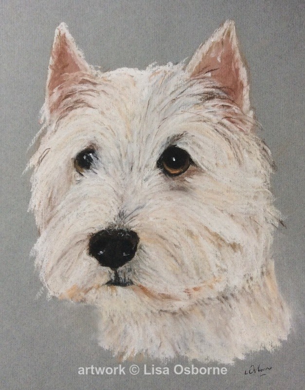 West Highland - Pets - Dogs/Cats/Goats