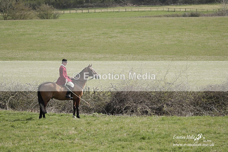 PtP 080423 166 - Dingley Races The Woodland Pytchley Hunt PtP 08/04/23