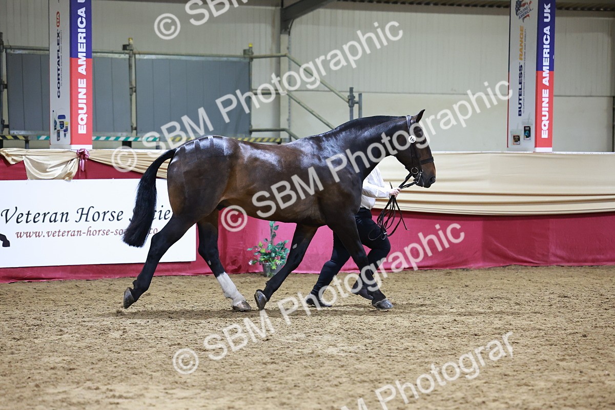 SBM_20470 - Class G - IH Large (over 148cm)Champ