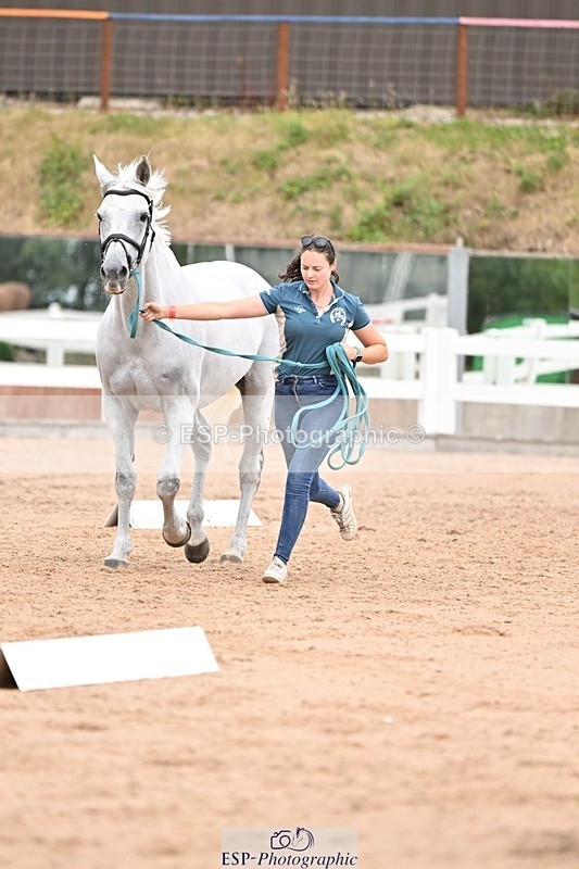 250716-155412-02257 - Trot Up 3.30 to 4.30