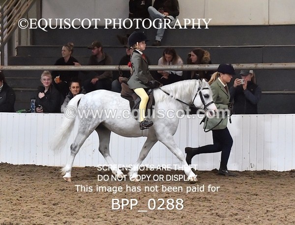 BPP_0288 - RING 1