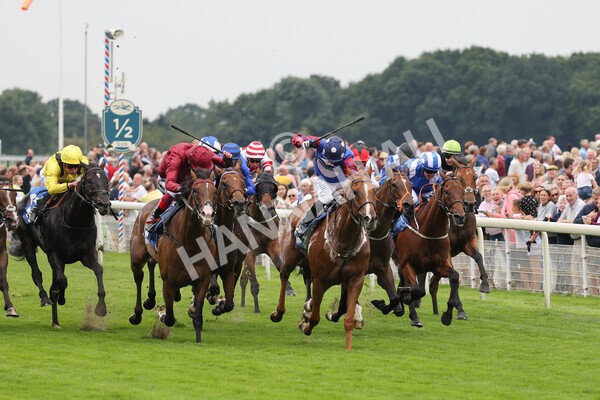 yr19082021r3-27 - Race 3 3.00pm Clipper Logistics Stakes