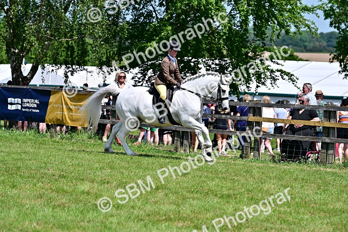 SBM_15348 - Class 95-97 - BSPS LHS Performance Ponies