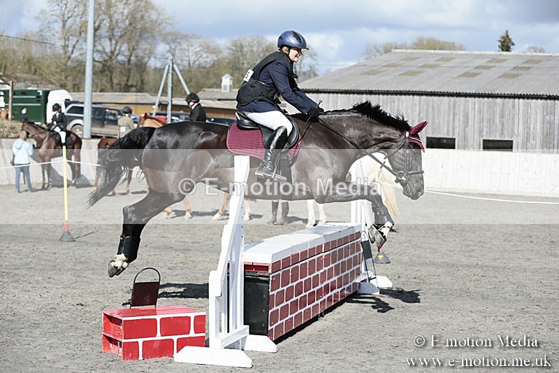 BVRC SJ 170319 318 - Bourne Valley Riding Club Showjumping 17/03/19
