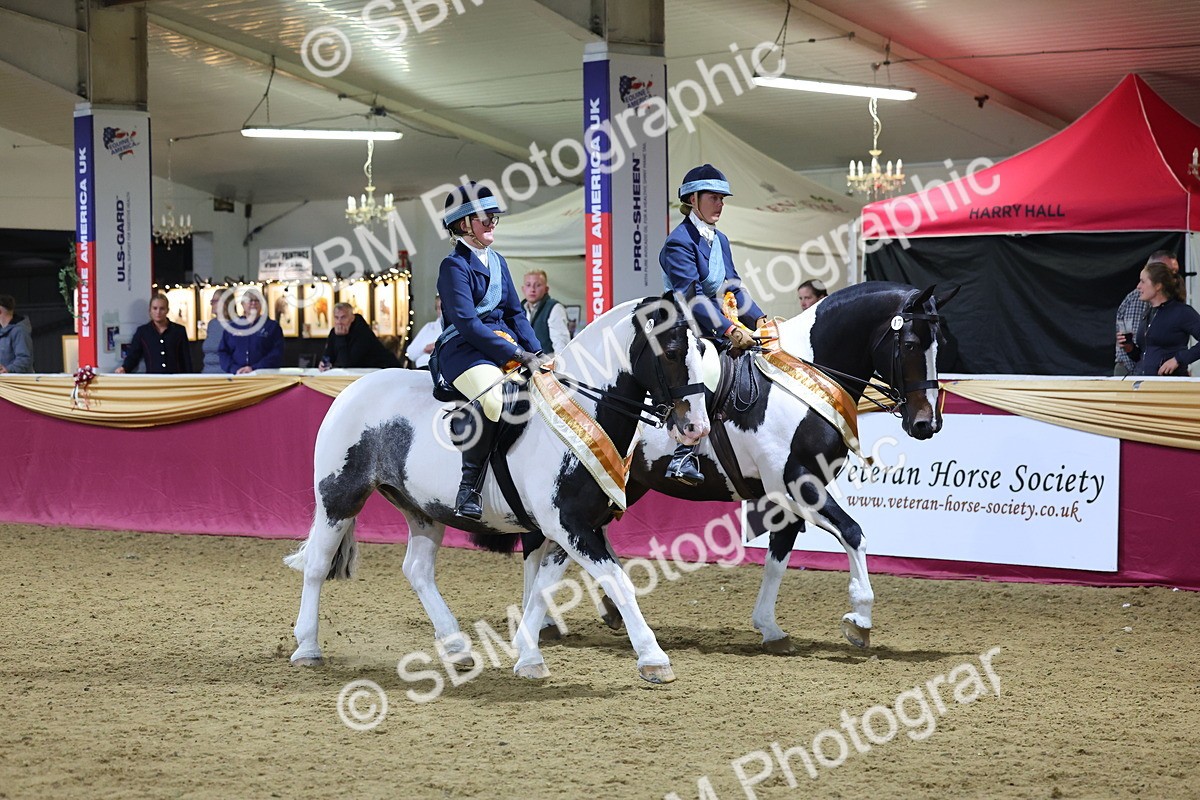 0B8A4357 - Class M Ridden Pairs Champ