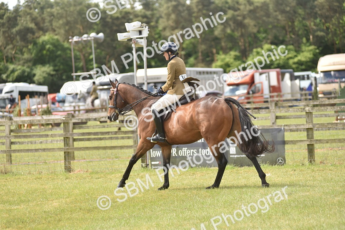 SBM_15105 - Class 113-114 - Retraining of Racehorses Ridden