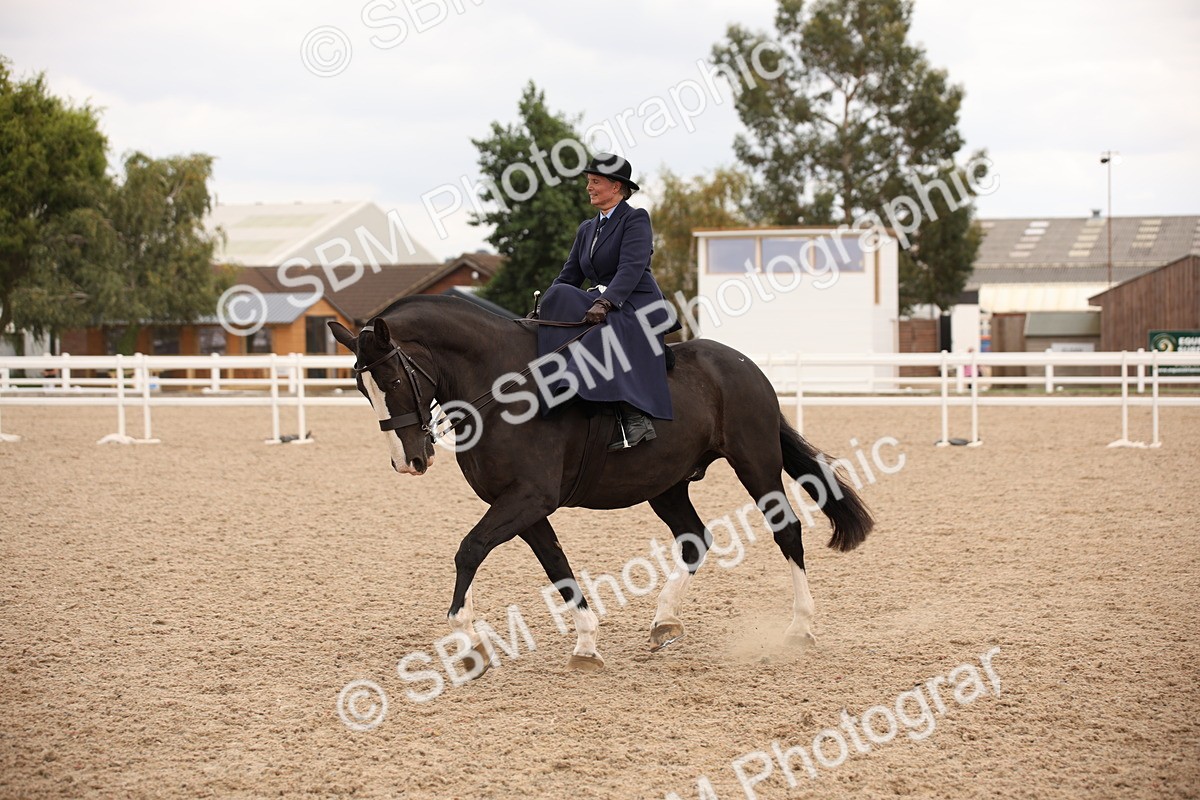 SBM_05460 - Class 22 SSA Equitation