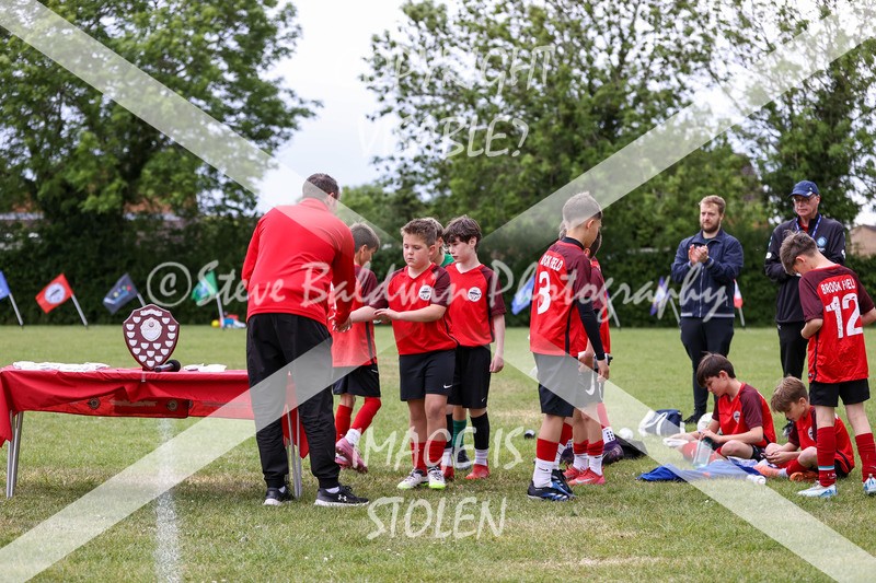 1DX31547 - Brook Field V Goddard Park