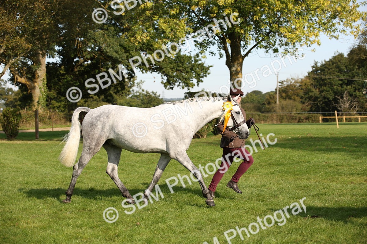 SBM_60146 - S53 - Hunter In Hand