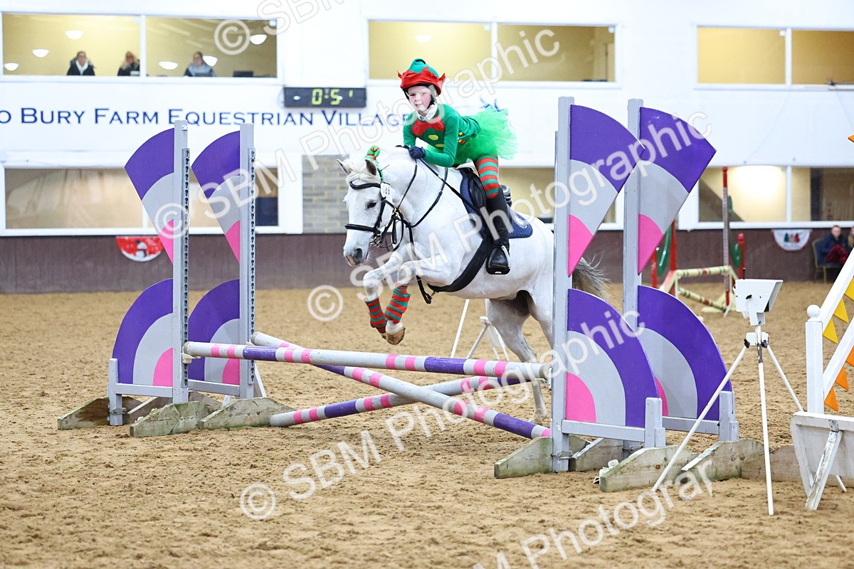 SBM_001371 - Class 3 - Christmas Tree Stakes - 60cm