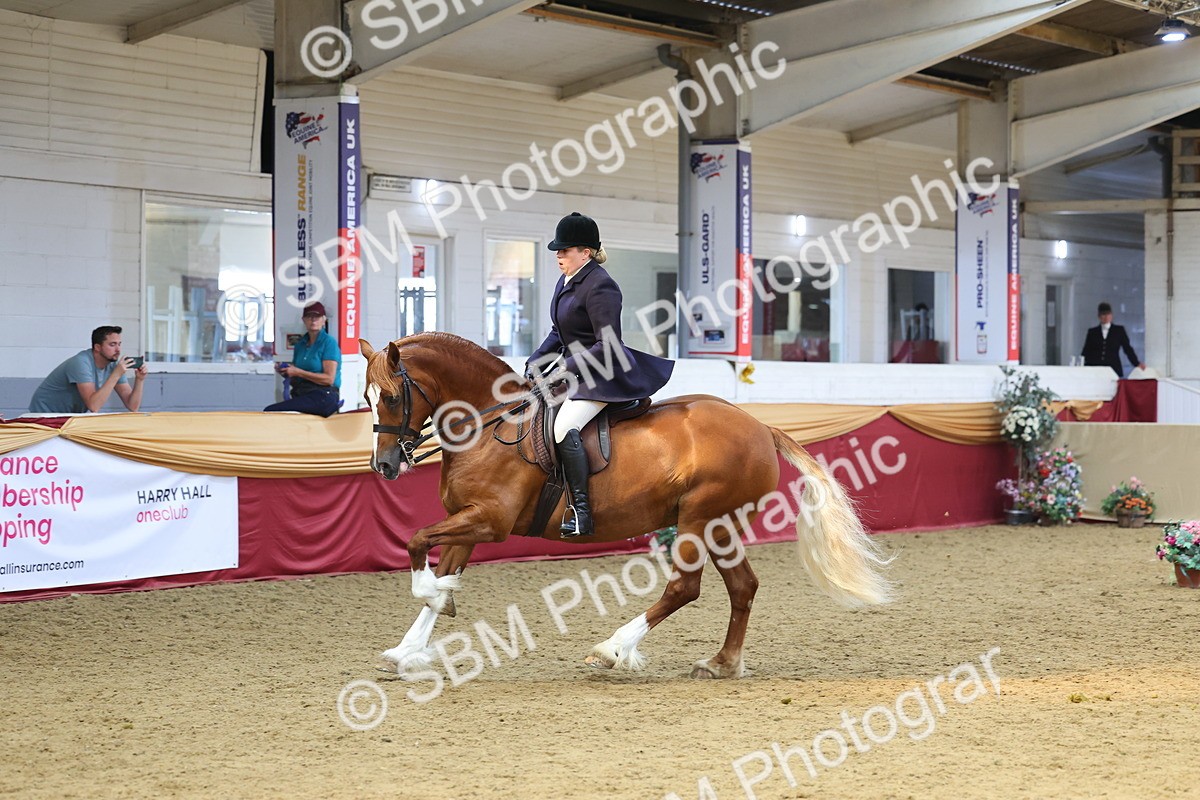 SBM_24569 - Class 906 - Supreme Final - Ridden Pre Vet