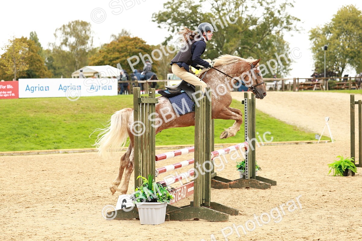 SBM_38440 - Supreme Championship 80cm 85cm