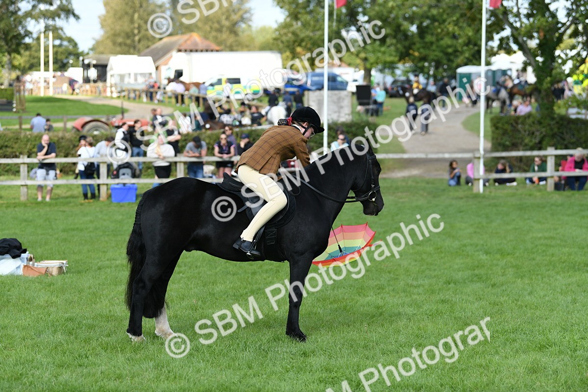 SBM_47074 - S12 - Family Horse & Pony