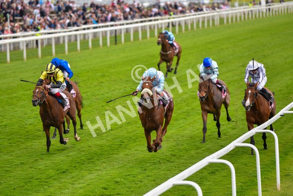190523-Race 4-Giavellotto-0813 - Race 4 3.35pm Boodles Yorkshire Cup Stakes