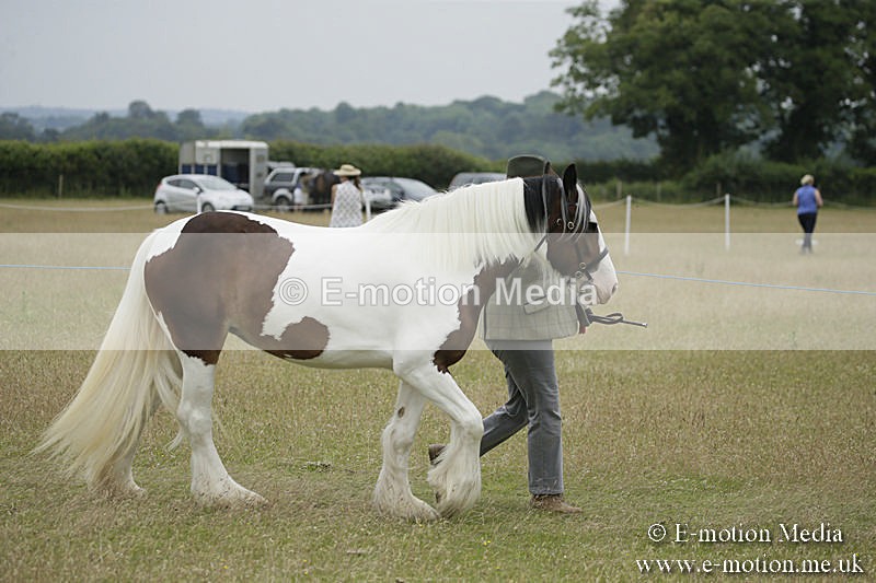 B230619-0821 - Bourne Valley Riding Club Summer Show 23/06/19