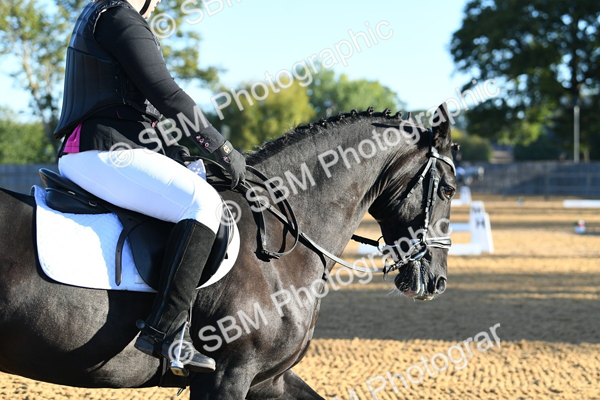SBM_14284 - D4 - Small Tour Championship - Intro B