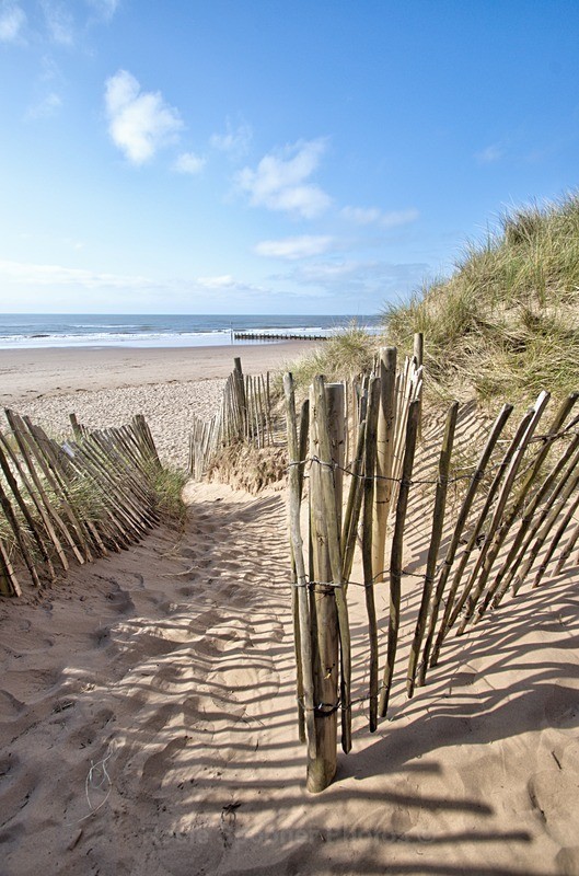 Sand dunes at Dawlish Warren -portrait - Portrait Views