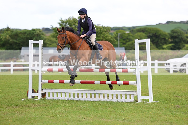 3E7A7801 - Class 13: Senior British Novice/90cm open