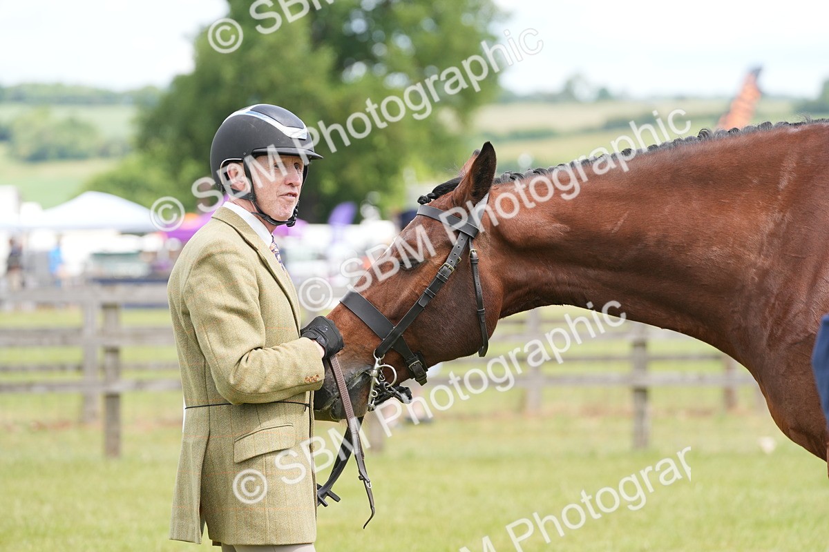 SBM_15039 - Class 100-102 - RIHS Working Hunter