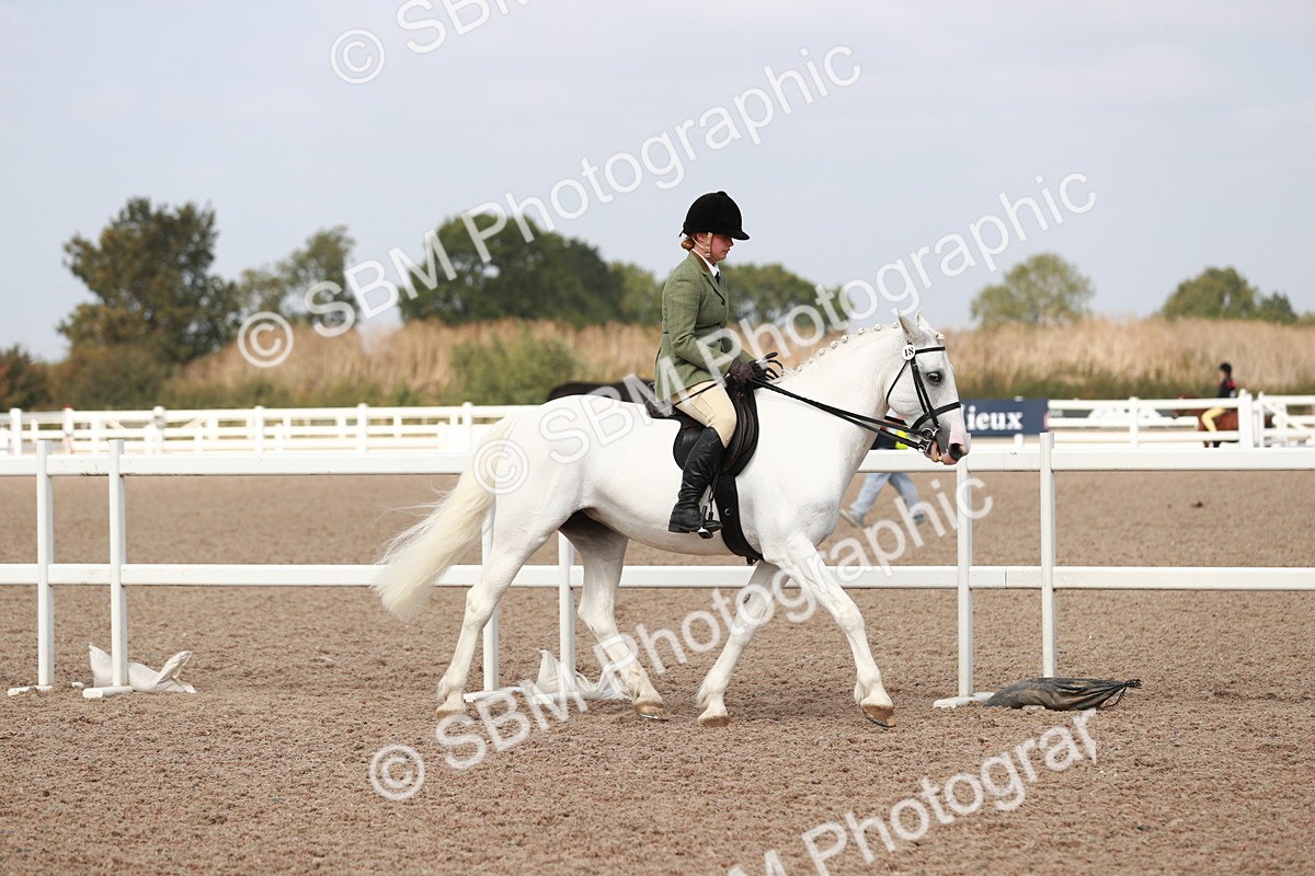 SBM_14805 - Class 212 Ridden Hunter - Small