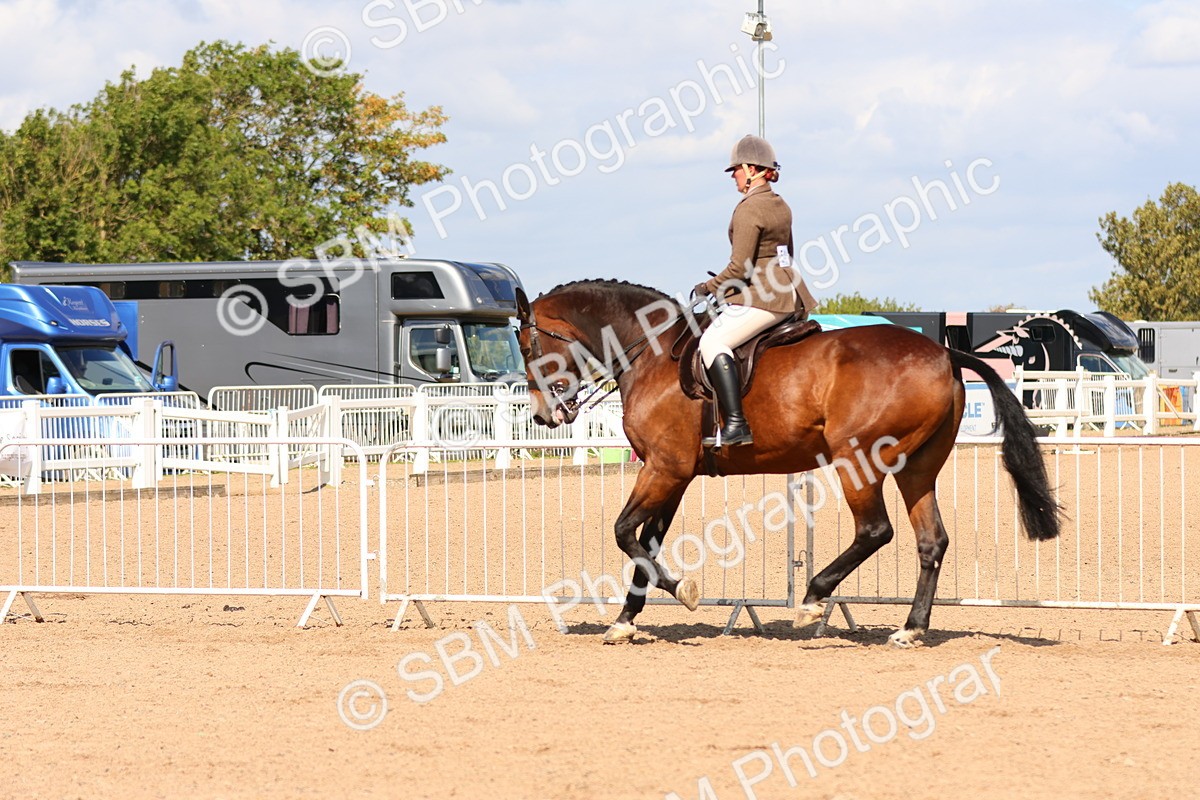 SBM_13496 - Class 212 - Ridden Hunter  - Large