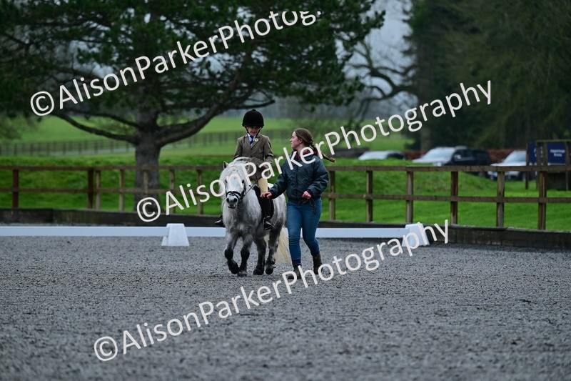 20260125-0802 - Class 9a - Walk Trot Assisted