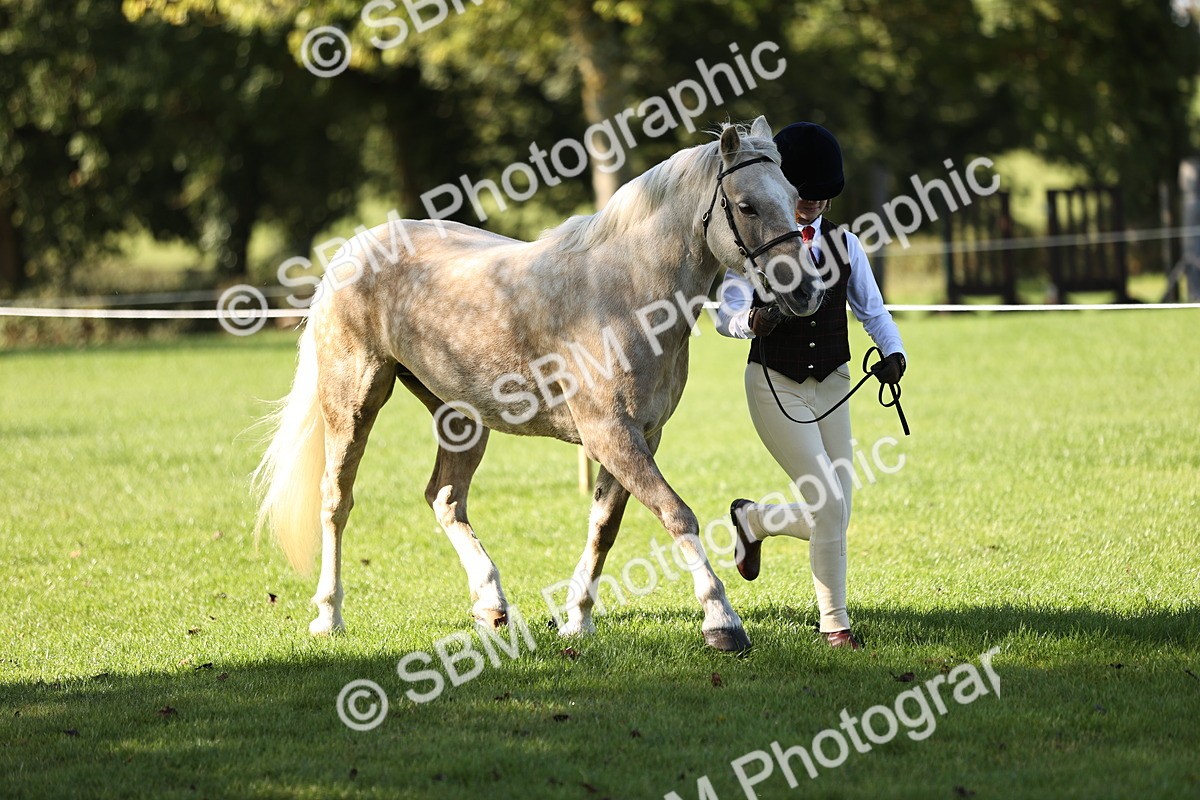 SBM_15946 - S1 - TSR in Hand Horse & Pony Showing