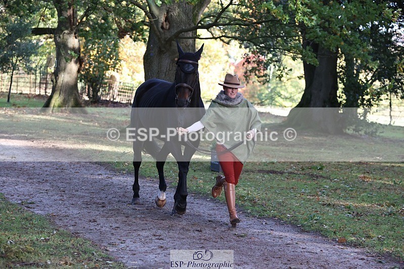 261025A-102111-25233 - 3DE Unknown riders - Trot Up