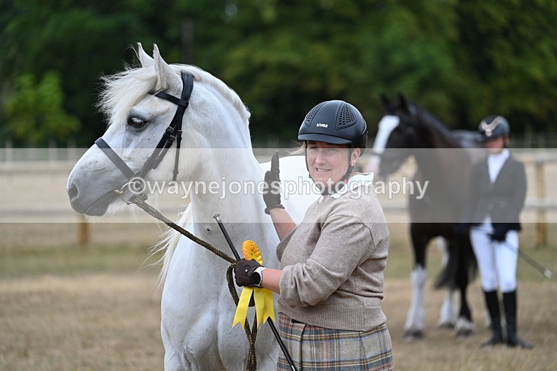 WJ7_9276 - Class 4a Prettiest Mare 14.2hh and over