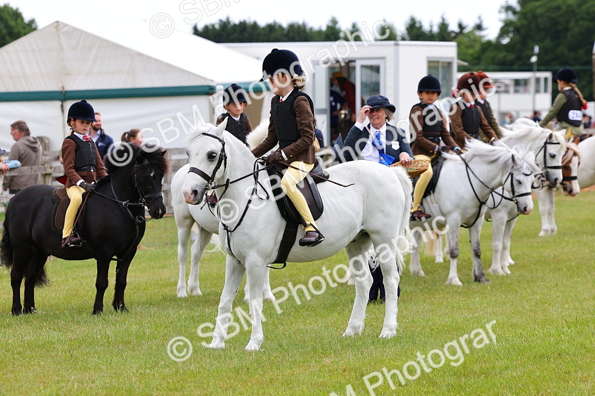 SBM_08663 - Class 42-43 - LIHS BSPS Heritage Working Sports Pony