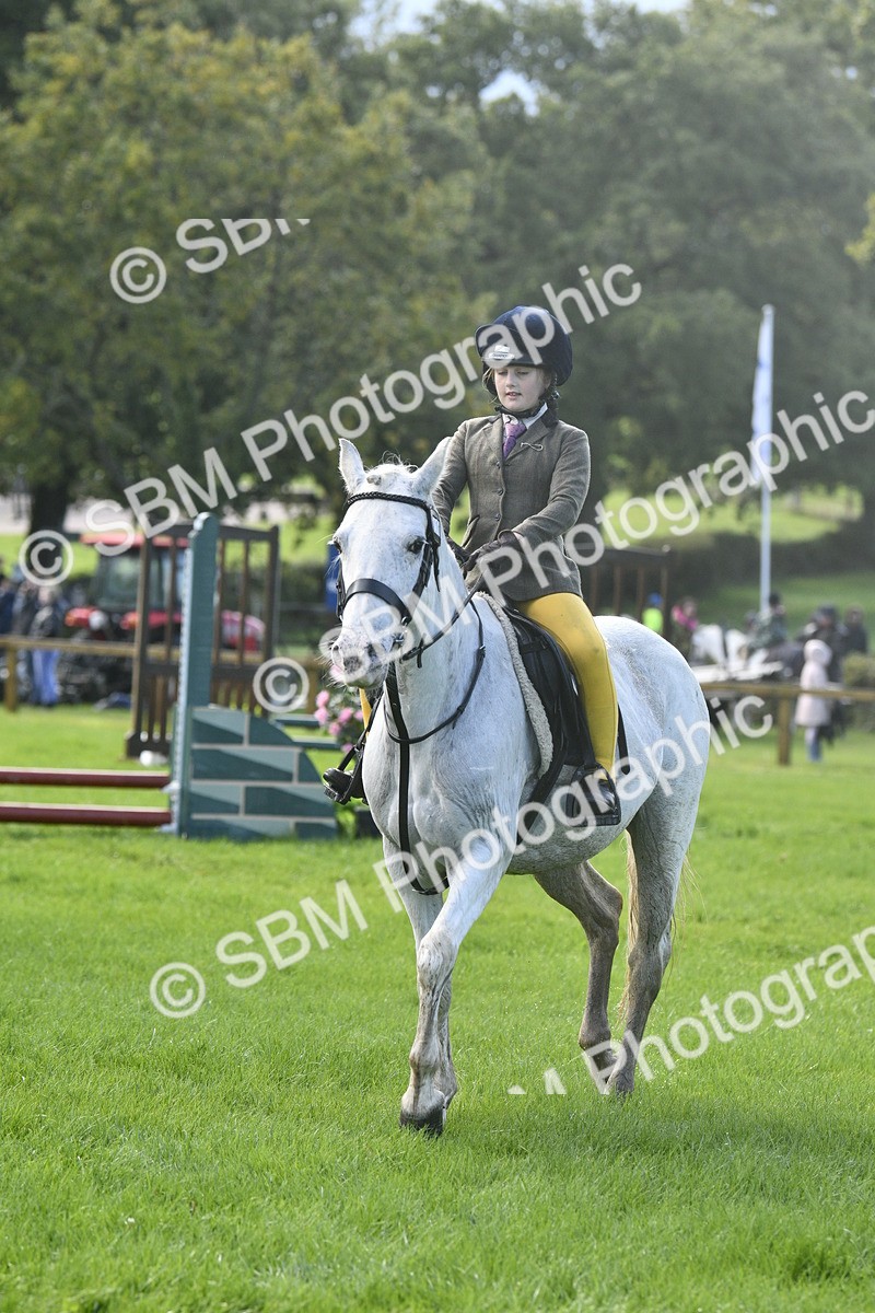 SBM_37213 - S31 - Novice & Newcomer Working Hunter Pony