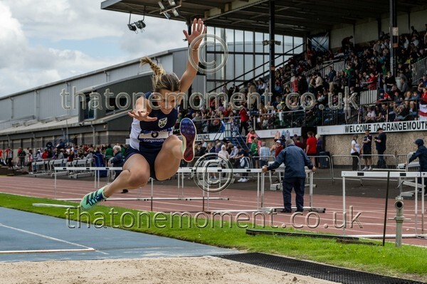 SIAB23-914801 - Field Female Set Two