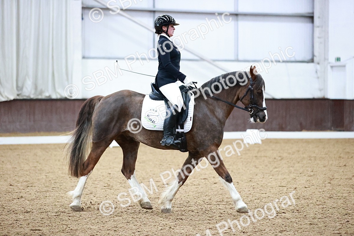 SBM_000140 - Class 3, 4, 8, 10 Intro 3 Prelim 3 Novice 2