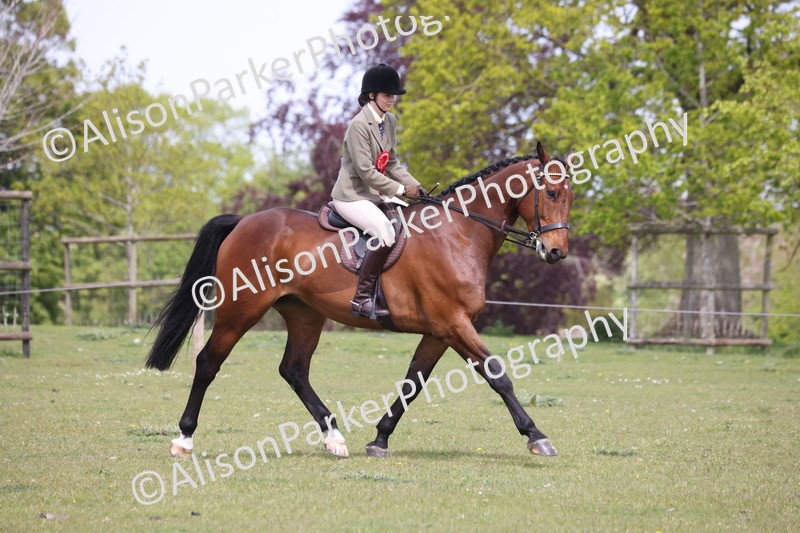 20260426-4463 - Class 34 - Best Riding Horse Over 14.2hh