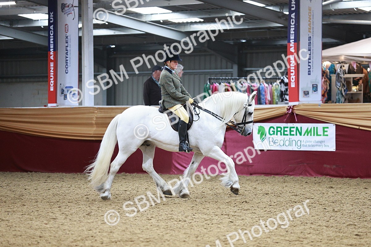 SBM_08250 - Class 11R - Regional Ridden Veteran