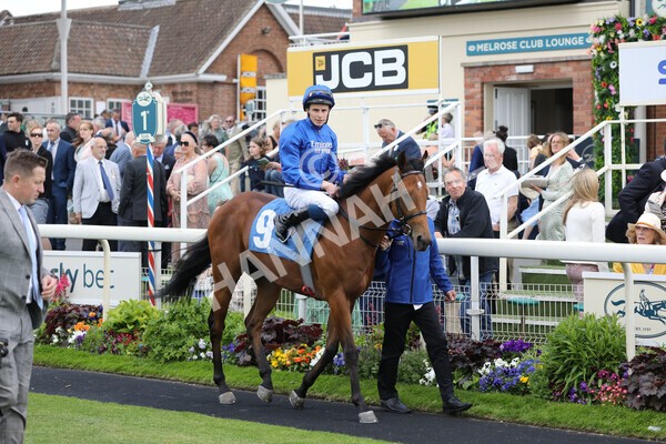 yr11062022r6-16 - Race 6 4.15pm Reg Griffin Appreciation EBFstallions.com Maiden Stakes