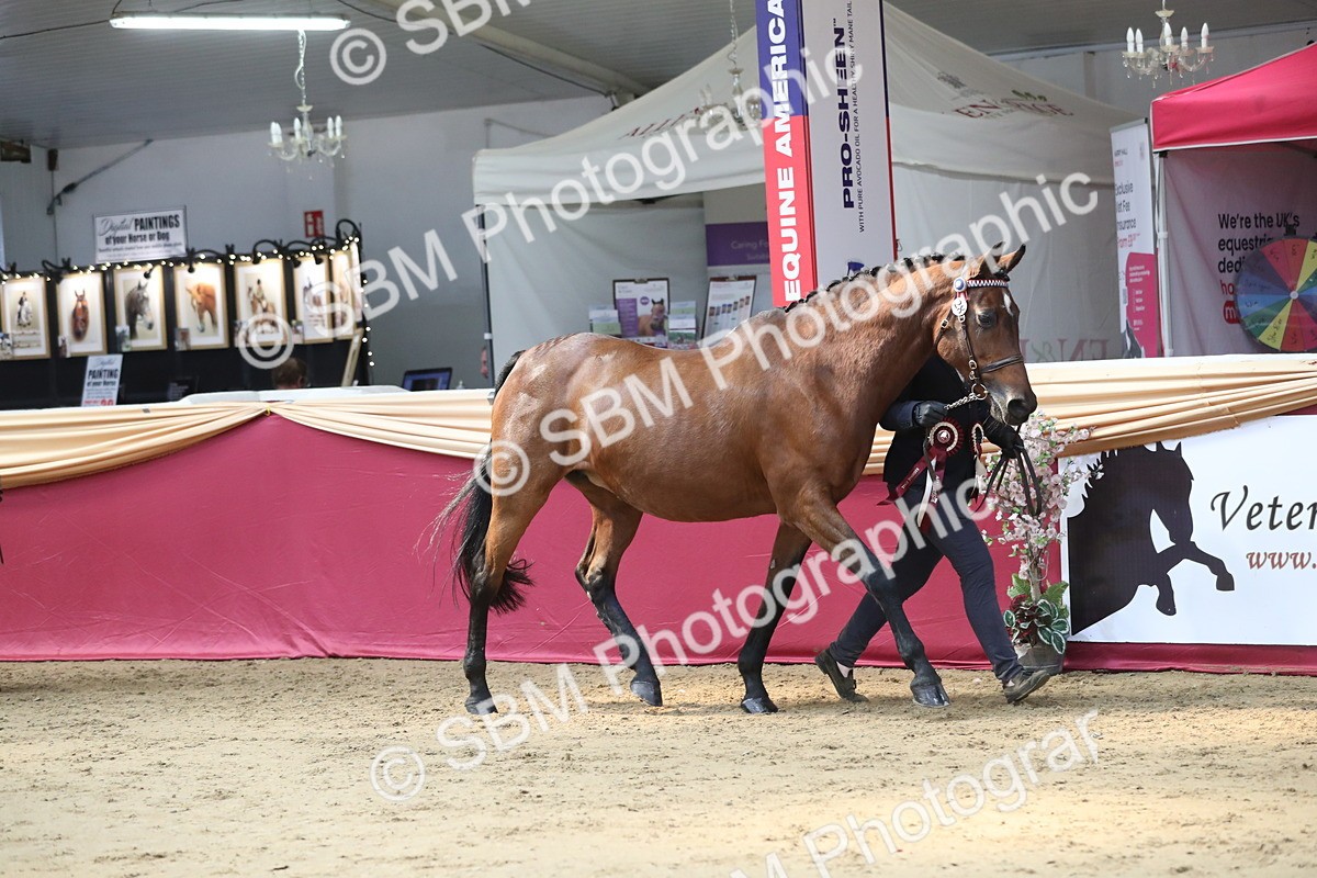 SBM_04506 - Class 7R Regional - IH Diamond