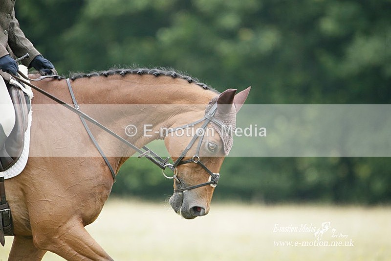 BVRC 030721 115 - Bourne Valley Riding Club Dressage 03/07/21