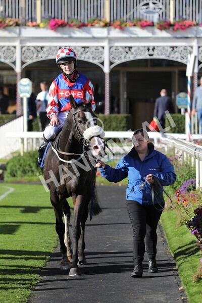 yr08102022r4-46 - Race 4 3.15pm The Coral Sprint Trophy