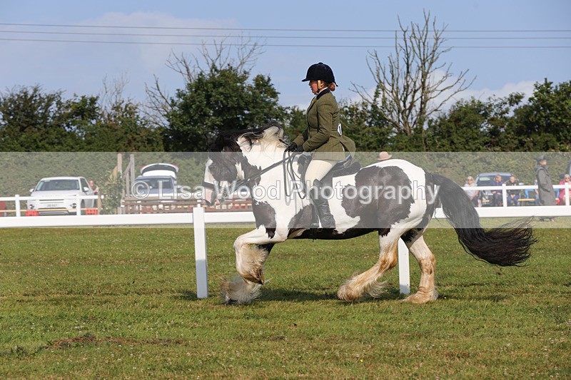 1X9A3371 - Class 28: Ridden Native/Trad Coloured Pony