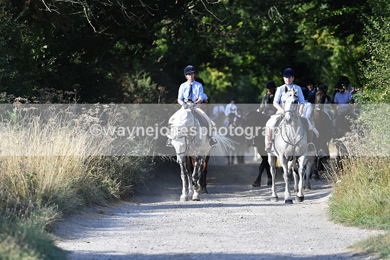 WJ5_4862 - Walk out with the hounds