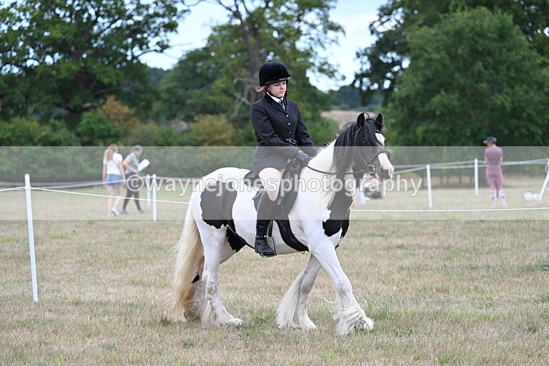 WJ7_4306 - Class 11 Family Mount