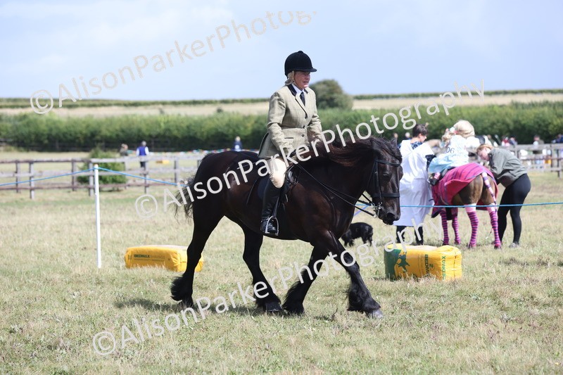 20250831-2915 - Class 19 - Mountain and Moorland