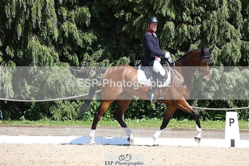 230526-144937-06558 - 375-FINLEY_DU_LOIR-Oliver_Townend-WEDTrotUp+DR