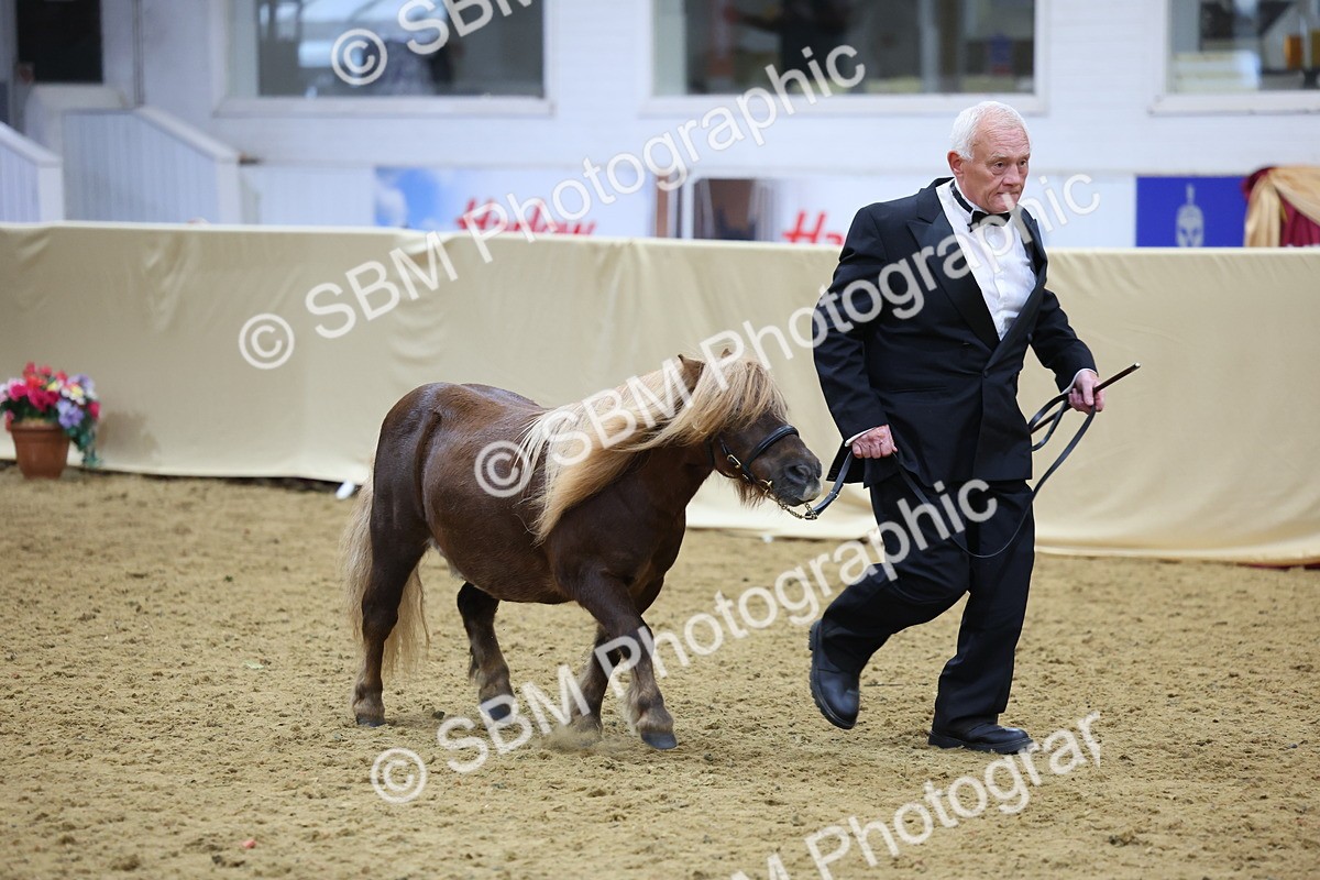SBM_20917 - Class 902 - Supreme Final IH Veteran