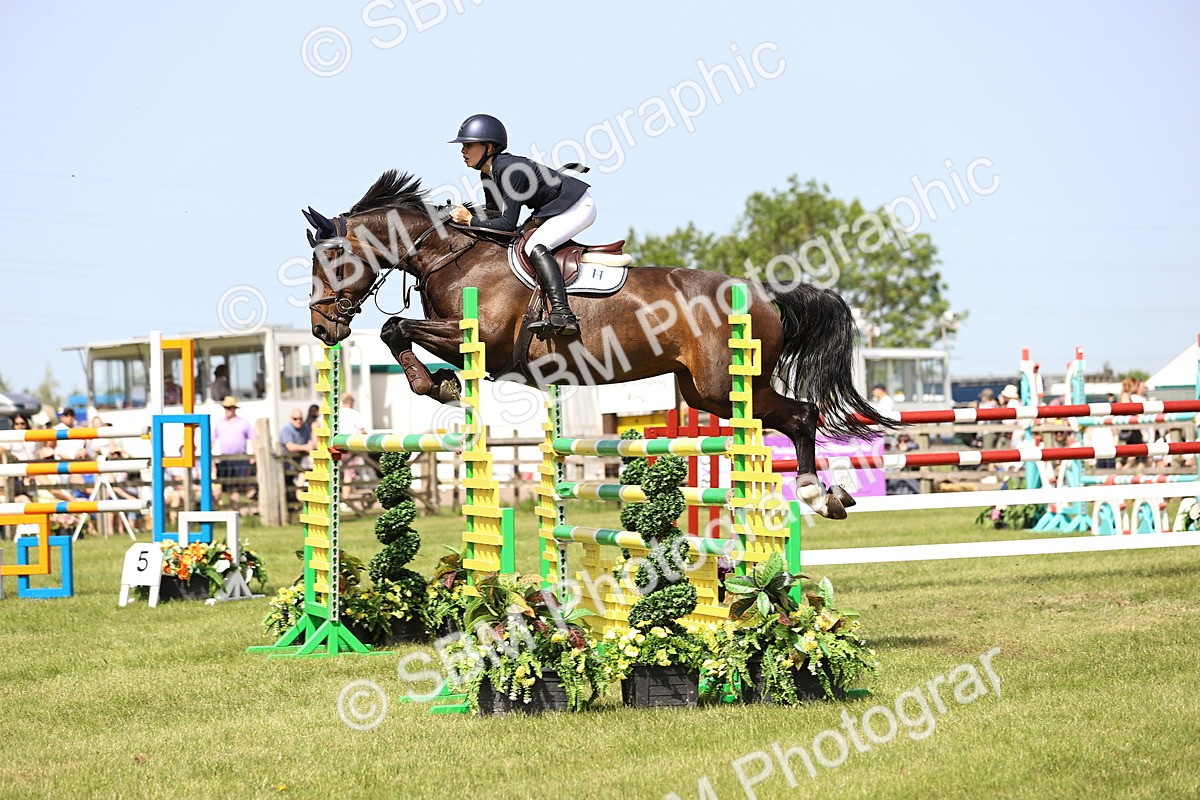 SBM_03127 - Class 201 - British Horse Feedds Speedi Beet HOYS Grade C
