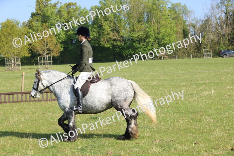 20250427-0520 - Class 17 - Novice Showing