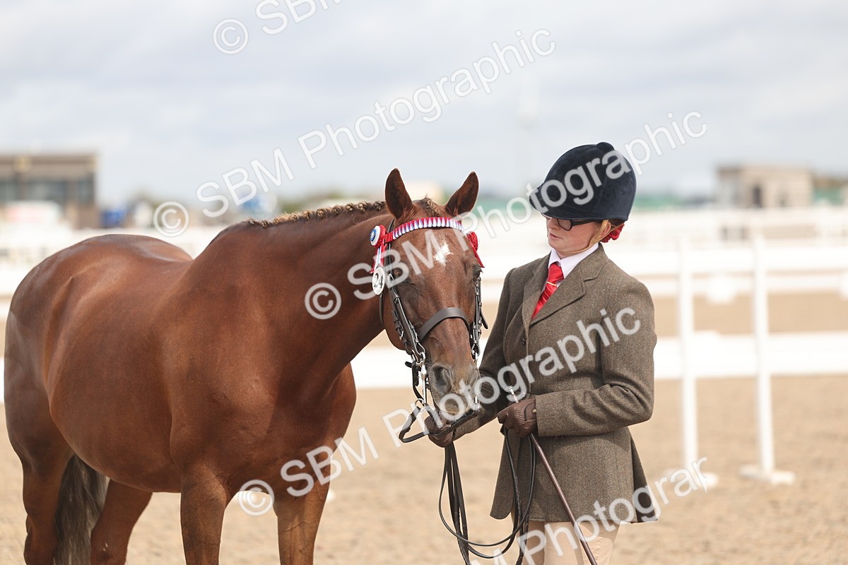 SBM_04995 - Class 20 - IH Veteran