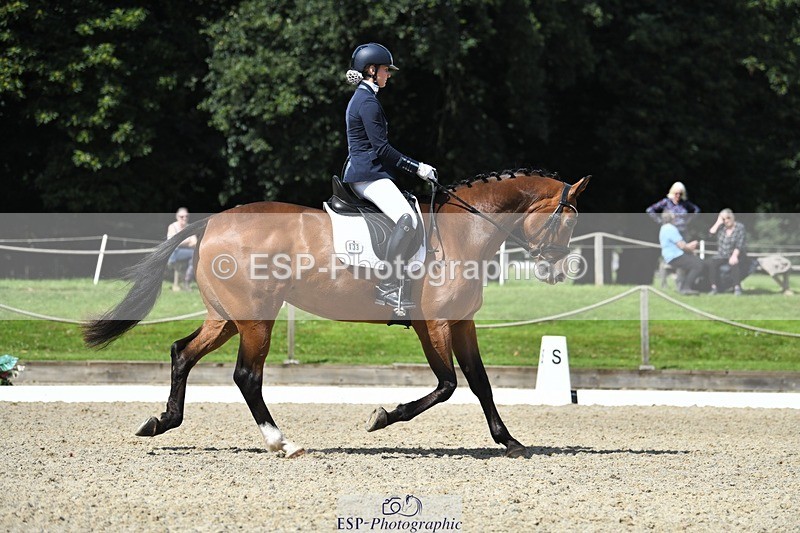 230812-114016-03667 - Cls 6 Novice Silver 10.30 to 11.55 break