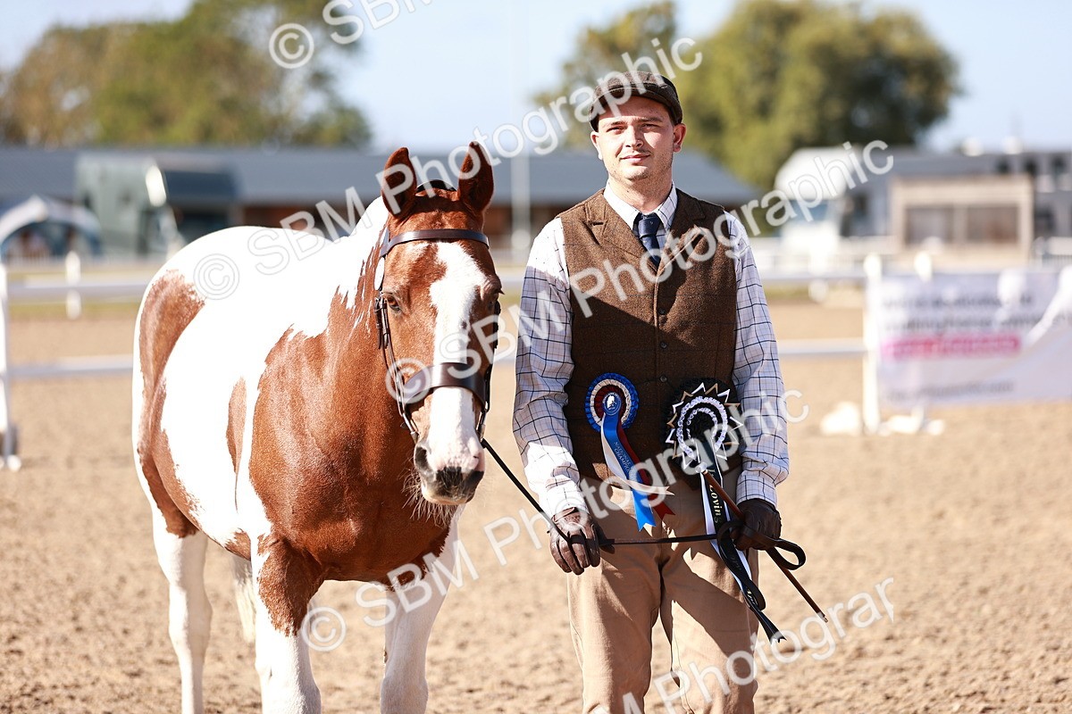 SBM_22097 - Class 703 - IH Coloured